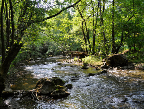 Gradac River - Valjevo, Serbia