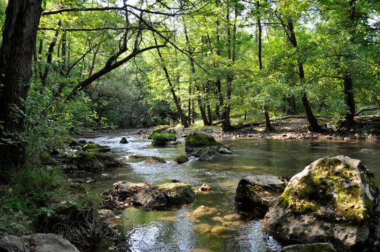 Gradac River - Valjevo, Serbia
