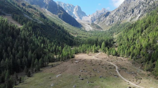 Mountain hiking trail aerial shot - camera rising to discover the panorama. 4k Beautiful landscape in the Swiss alps