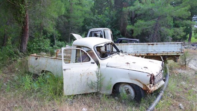 Closeup view of old rusty abandoned cars with peeling paint standing in wood outdoors. Real time full hd video footage.