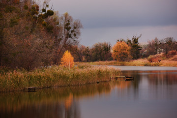 Obraz premium autumn landscape. The lake and yellow birch at the old wooden bridge over the water in the village.