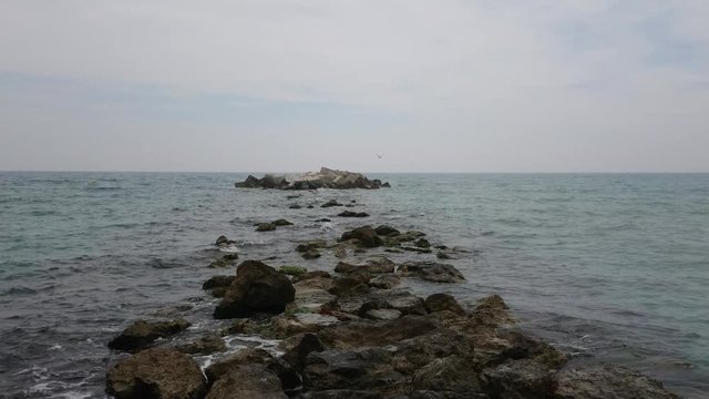 Bird flying on mediterranean sea with rocks and stones