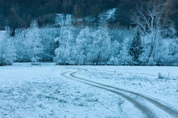 Winter landscape