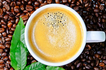 Top view white coffee cup filled with hot coffee surrounded by roasted coffee beans and green leaves as background.