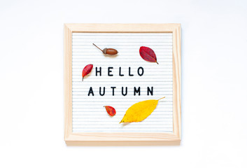 Hello Autumn text on the felt board concept flat lay. Fall season card