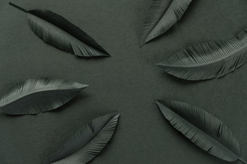 The feathers of a bird made of black paper on black background. Black on black