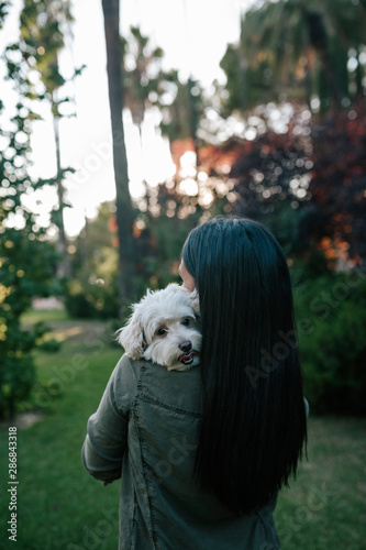 Poodle Dog Leaning On The Shoulder Of Long Haired Teen Girl Stock