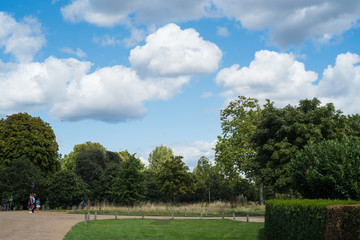 Beautiful lake in urban park