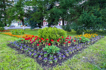 beautiful colorful decorative flowers on the flower bed in the city Park