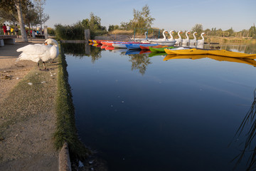 jetty in pond of city of zaragoza in spain, with canoes and boats