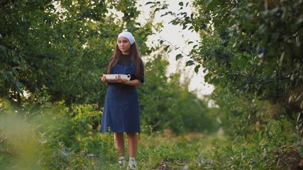 Portrait of young woman in apron standing with basket of fresh plums. Harvest of plums in orchard during sunset