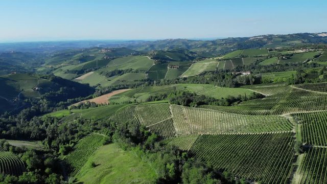 Aerial view of vineyards hills - Piemont Italy. Flying over the vineyards - amazing panorama