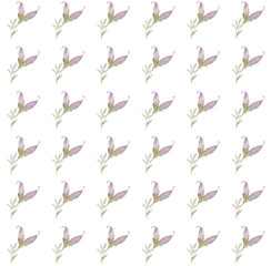 Purple watercolor flowers on a seamless white background