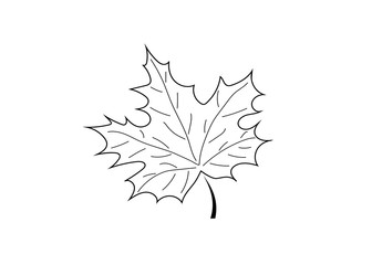 Autumn leaves (maple) isolated on white background. Vector image. Icon