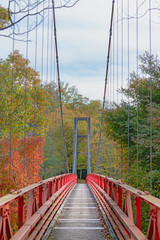 森の中の吊り橋
