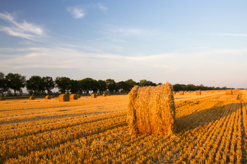Straw rolls on field, Poland