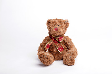 toy cute soft brown  Teddy bear isolated on white background