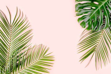 Fototapeta na wymiar Tropical palm leaves on pink background. Flat lay, top view