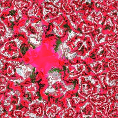 red flowers on a black background