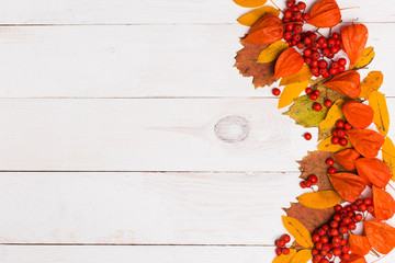 Beautiful autumn background for text