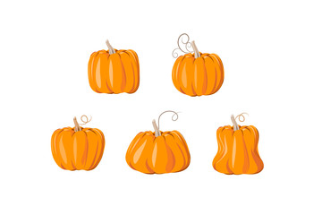 Cartoon halloween pumpkin set. Different shapes and sizes orange gourd isolated on white background. Vector illustration