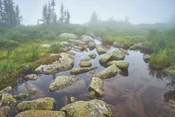 Stones in the water into the fog at the Ergaki National park in Russia