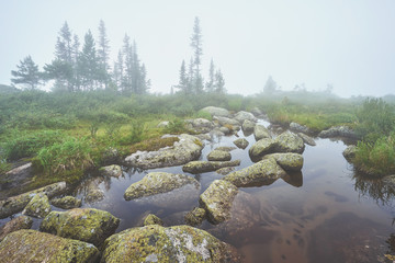 Stones in the water into the fog at the Ergaki National park in Russia