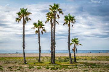 Obraz na płótnie Canvas Playa de Comarruga (El Vendrell, Tarragona, España)
