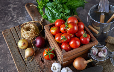 Harvest tomatoes in wooden box spicy herbs and spice at old board in rustic style.