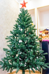 pictured in the photo big tree christmas