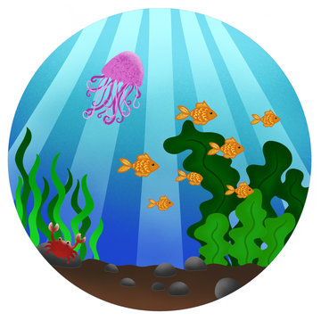 Unterwasserwelt