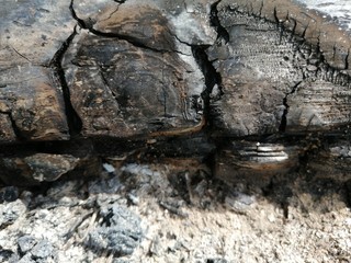 remaining wood ash from burned firewood outdoors in the garden