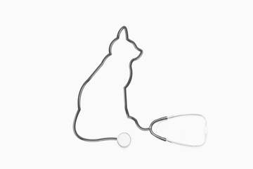 Stethoscope with cat outline tube