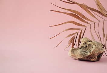 Tropical dry leaves on pink background. Closeup view
