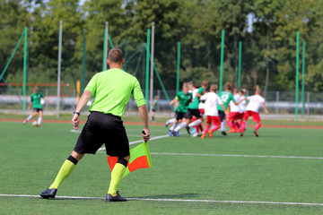 The line referee observes the situation on the football field