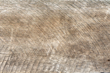 Close up Old wood background.