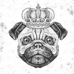 Retro Hipster animal pug-dog in crown. Hand drawing Muzzle of pug-dog