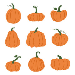 Cartoon halloween pumpkin set. Different shapes and sizes orange gourd isolated on white background. Hand drawn various pumpkins. Orange pumpkin for the holiday Halloween illustration.