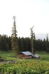 village houses in the forest .artvin turkey