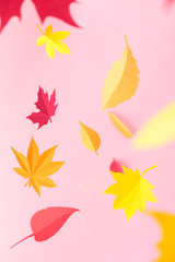 Naklejka na ściany i meble Leaves of paper fall red, orange, yellow leaf fall.