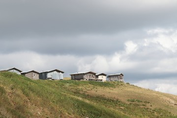 Fototapeta na wymiar village houses in the forest .artvin turkey