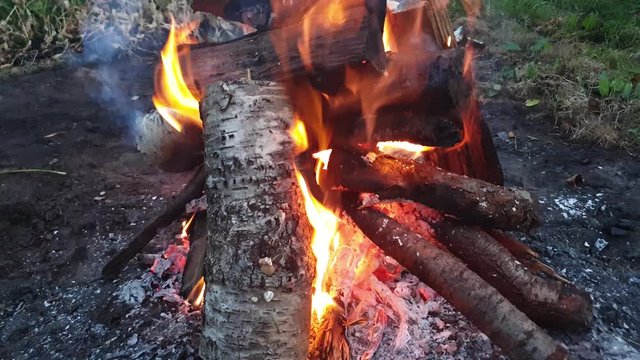Bonfire burning. Coals in the fire. Burning.