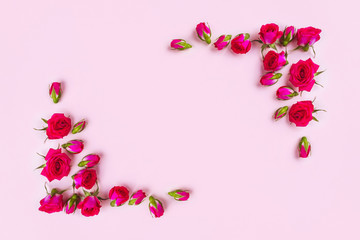 Beautiful roses on pink background, top view.