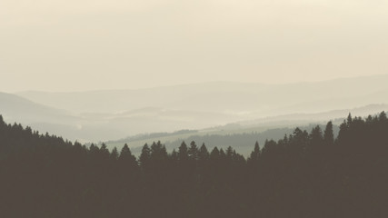 Fototapeta premium fog in mountains