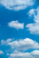 Fototapeta premium Cloud