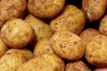 Fresh potato piled on the market. Food backgroumd. Harvest