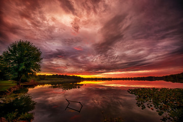 Night Sky at the Lake