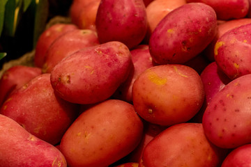 Fresh red potato piled on the market. Food backgroumd. Harvest