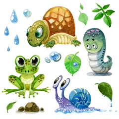 set of cartoon watercolor amphibians, turtles, snails and caterpillars