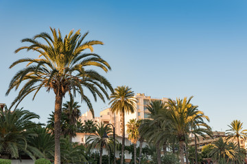 Obraz na płótnie Canvas Eivissa views in Ibiza